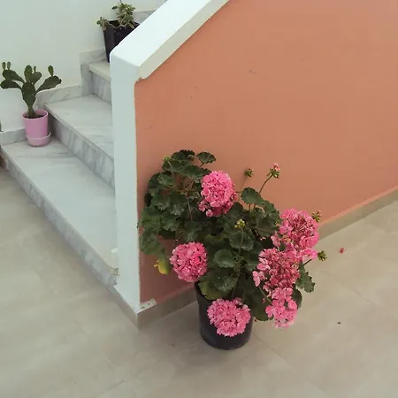 Bella Sant Перисса